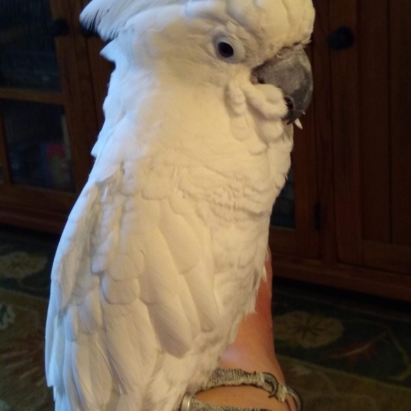 Meet your Posher, Mary a - Picture 6 of 8